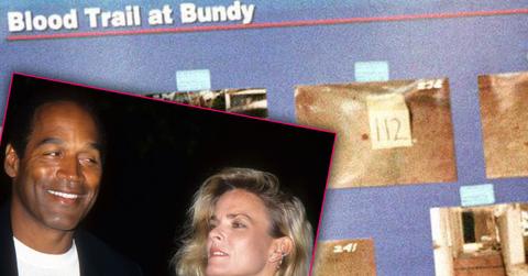 //oj simpson book if i did it fox interview pp