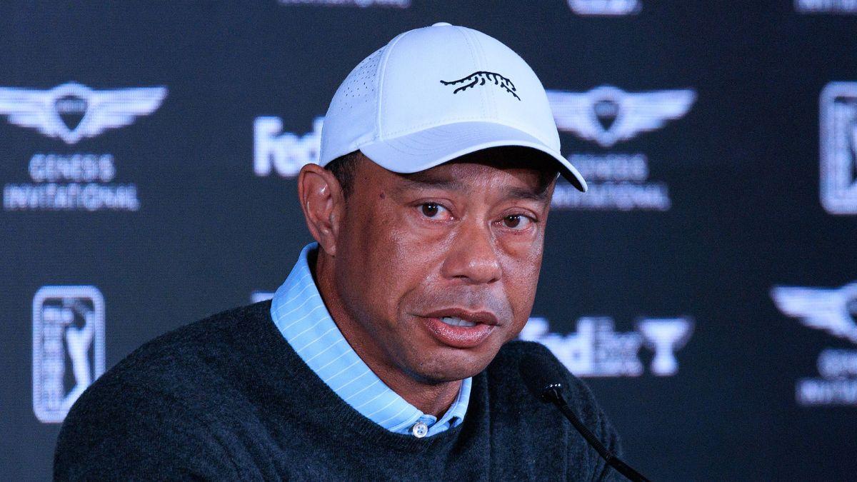 picture of tiger woods