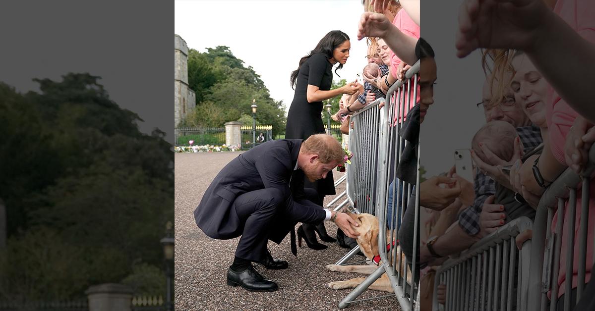 meghan markle snubbed fan refuses shake hand