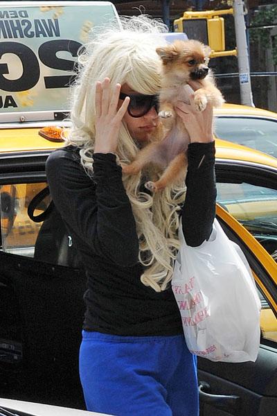 Amanda Bynes 50 Insatiable Headlines, Scandals & Unforgettable Stories Of 2013