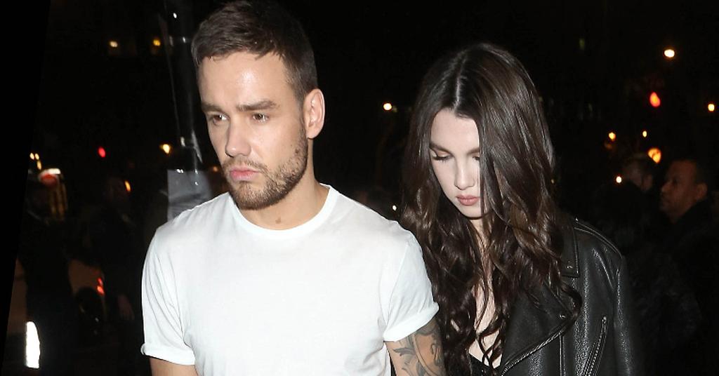 Liam Was 'Extremely Overwhelmed' By Legal Issues With Ex Before Death