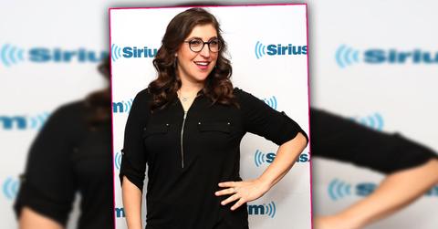 mayim bialik diva behavior exposed pals not surprised airport meltdown