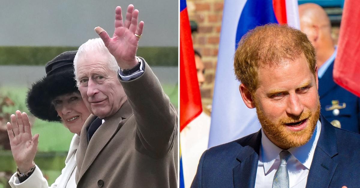King Charles Facing Pressure to Cut Estranged Son Prince Harry Out of
