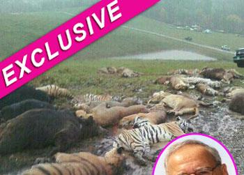//mayor zwelling ohio dead animals