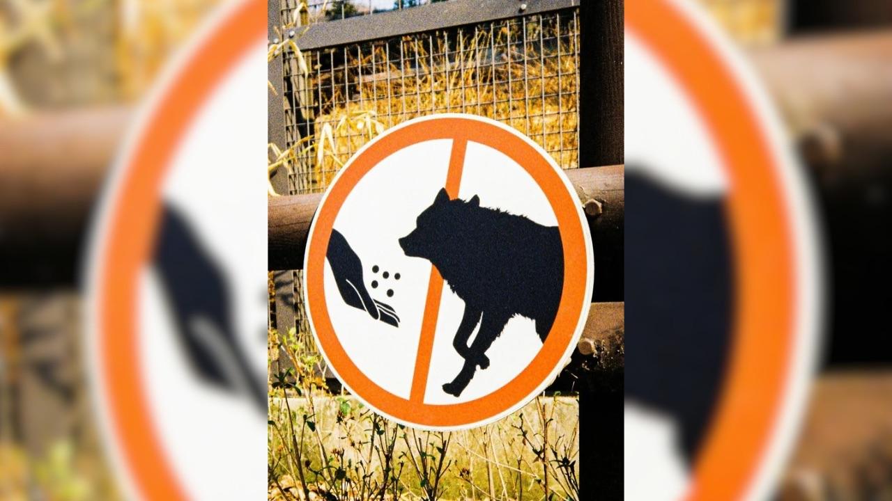 Don't feed sign