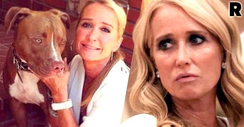 Kim Richards Pit Bull Lawsuit