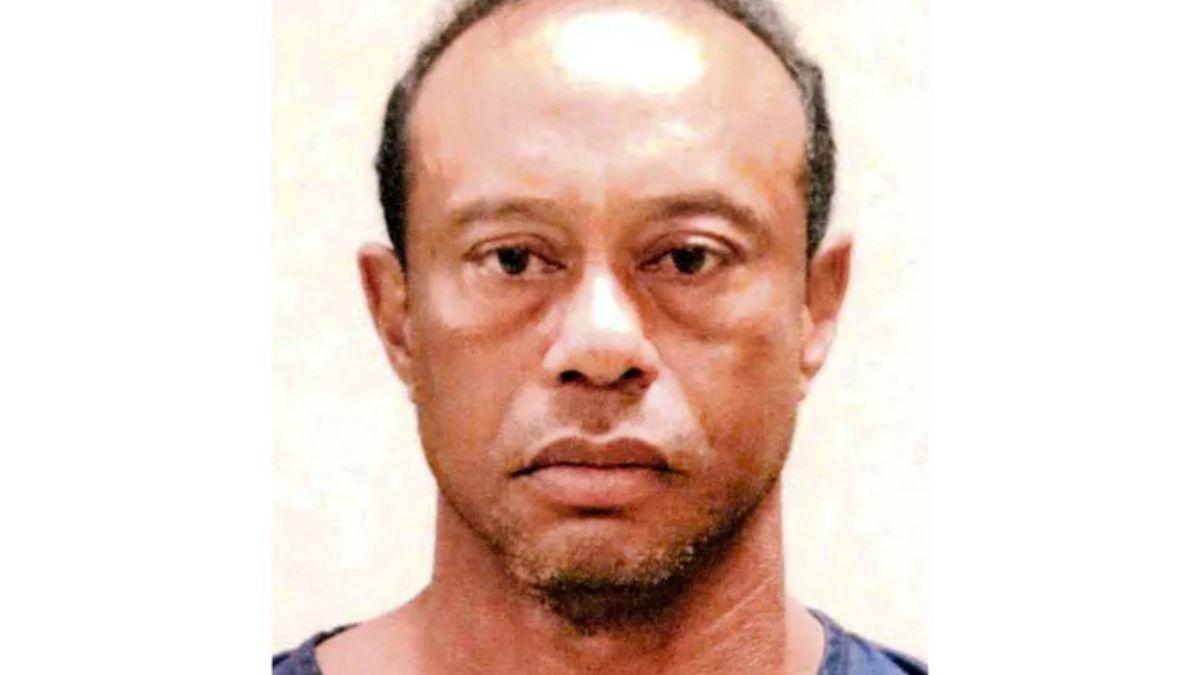 Tiger Woods mugshot