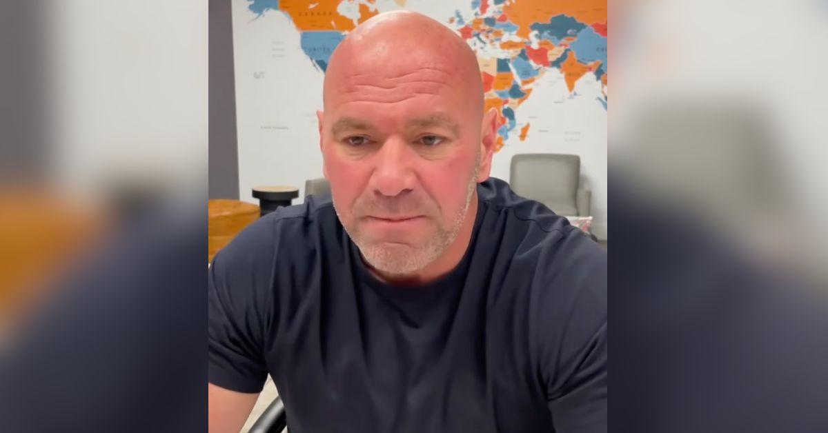 Photo of Dana White
