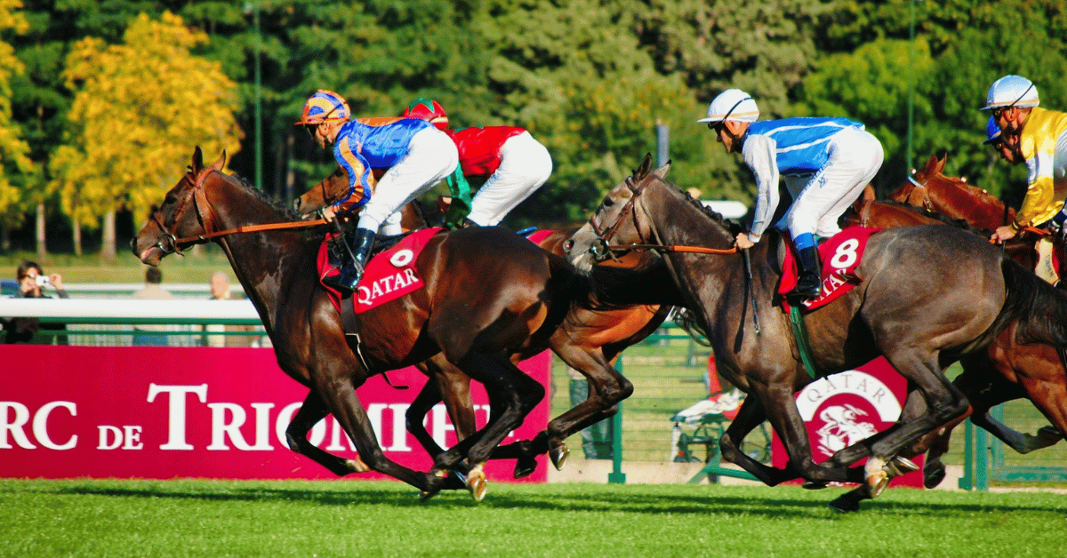 grand national at aintree