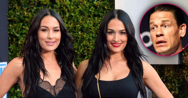 Twins Brie & Nikki Bella Pregnant At Same Time: Learn The Details