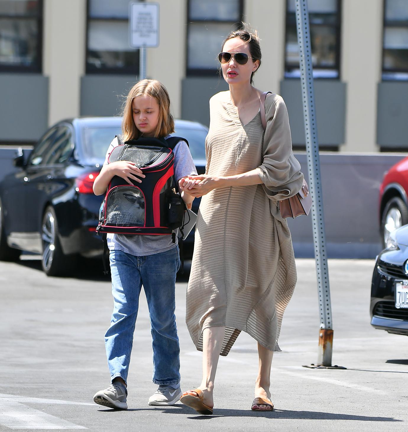 Angelina Jolie takes her daughter Vivienne and their bunny to a pet store for toys and treats. Angelina, joined by her daughter and a bodyguard, spent about 20 minutes at a local Petco shopping for things for their bunny.