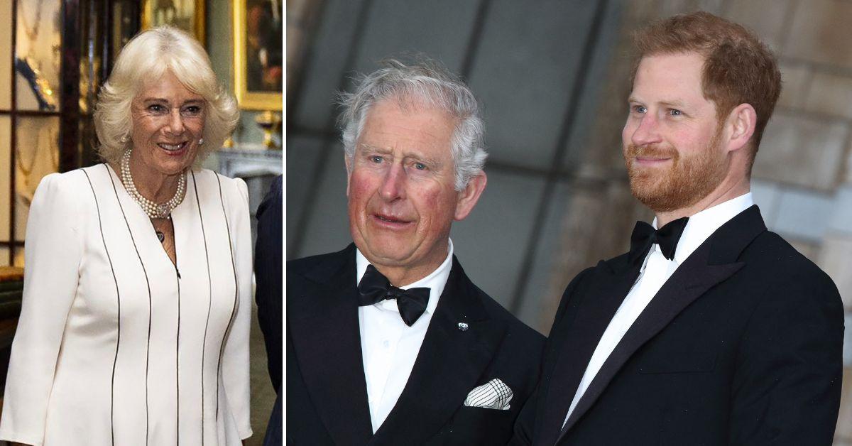 Split photo of King Charles, Prince Harry and Queen Camilla