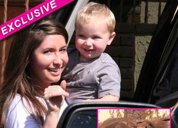 //bristol paylin  sn tw