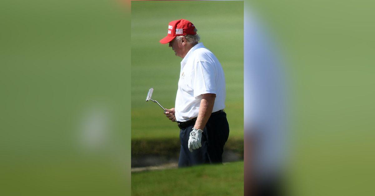 Photo of Donald Trump