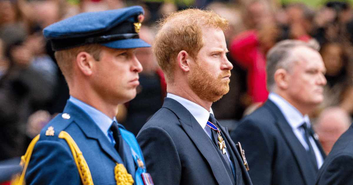 Photo of Prince William and Prince Harry 
