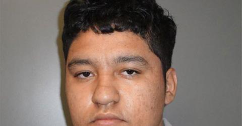 //disturbed teen decapitates mom pp