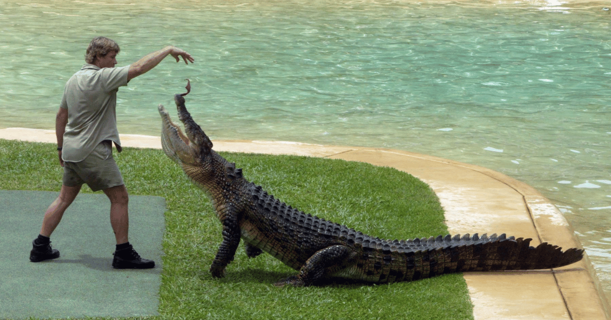 Photo of Steve Irwin
