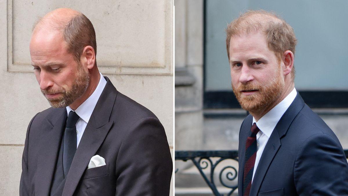 Prince William and his brother have been 'distanced' since Harry stepped down from royal duties.
