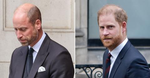 Prince William and his brother have been 'distanced' since Harry stepped down from royal duties.