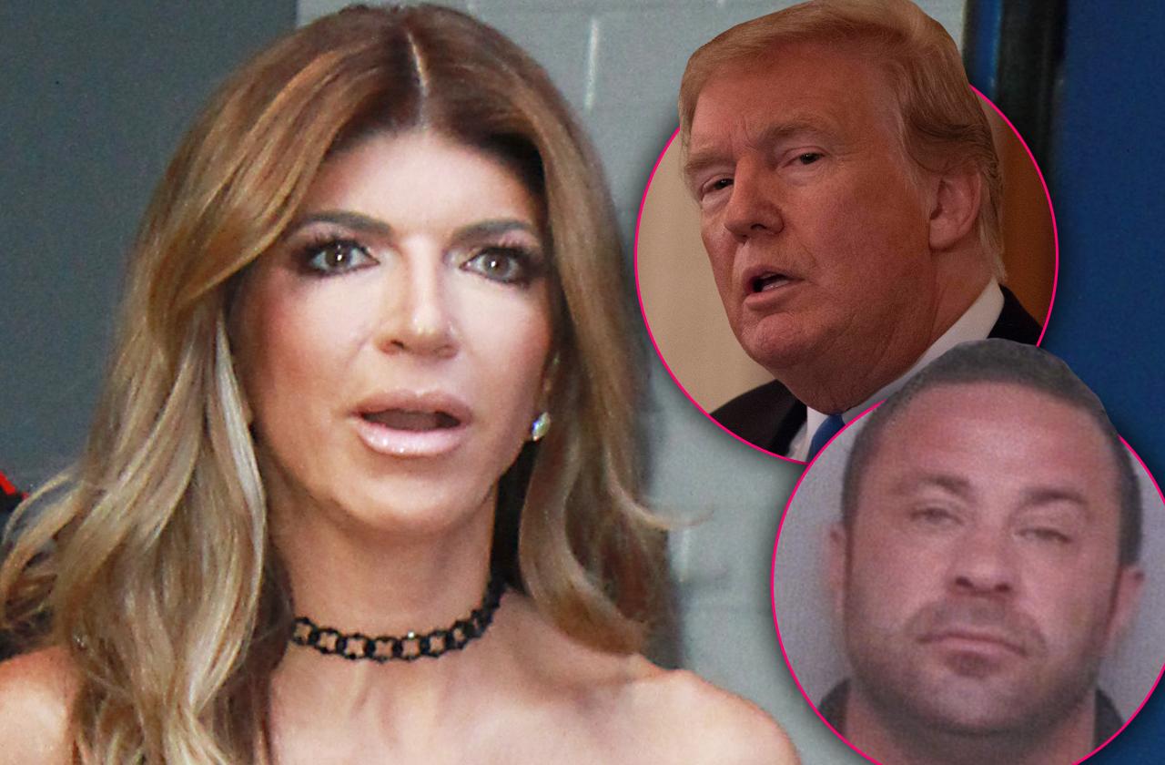 rhonj teresa giudice begs donald trump pardon joe deportation