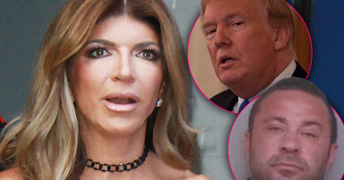'RHONJ' Teresa Giudice Begs Donald Trump To Pardon Convicted Felon