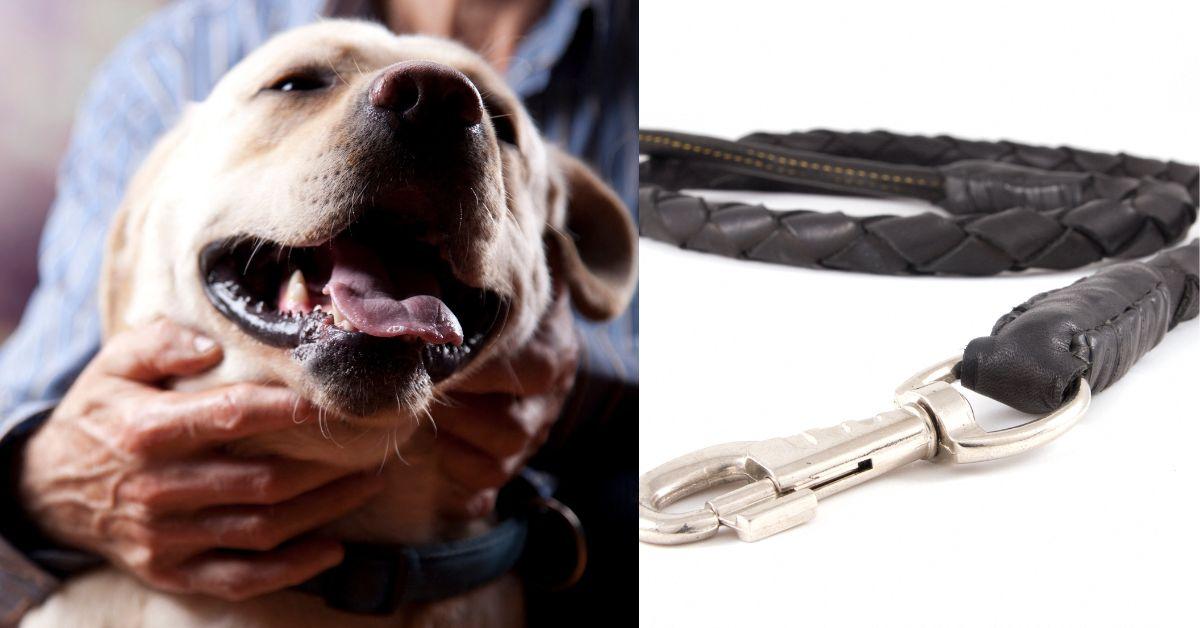 Outrage grows as animal control officer was accused in fatal dog strangling case.