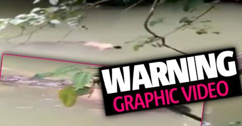 crocodile returns dead body witch doctor