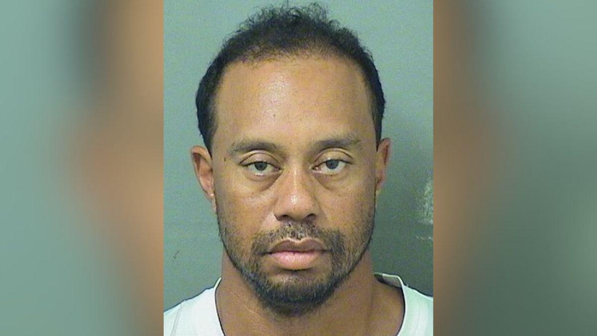 Mugshot of Tiger Woods