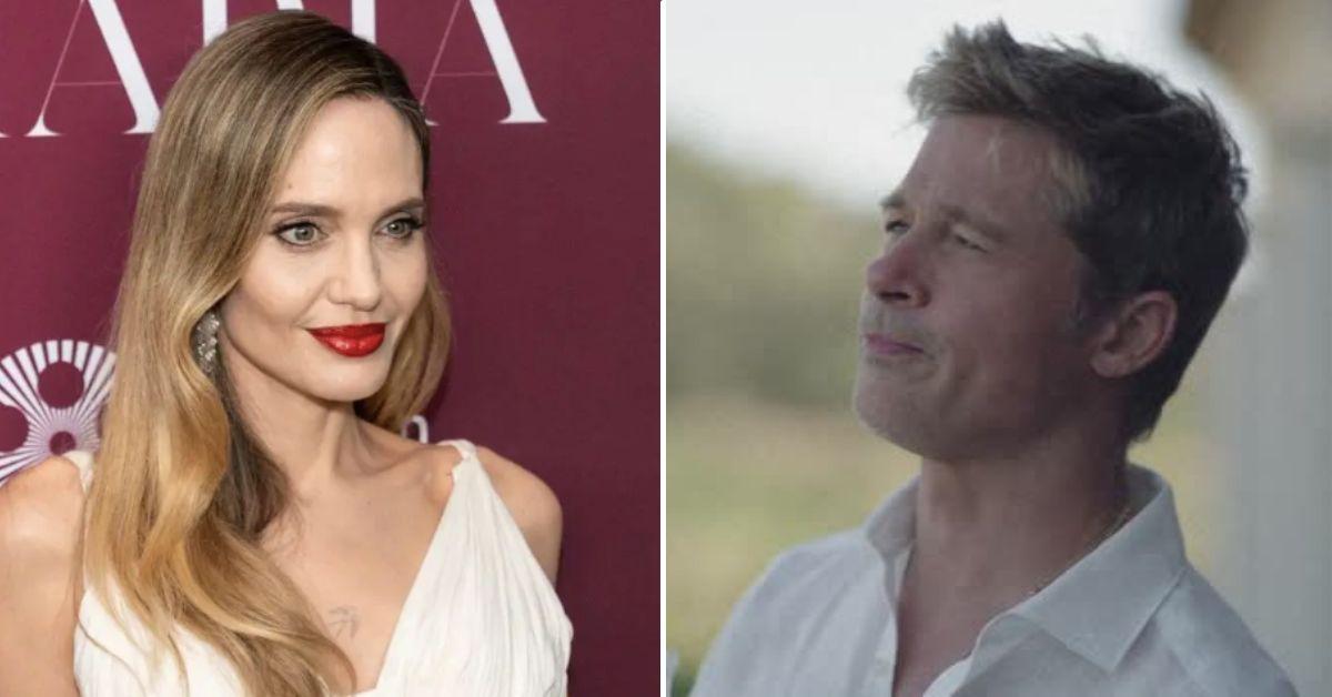 brad pitt in sour grapes war against angelina jolie