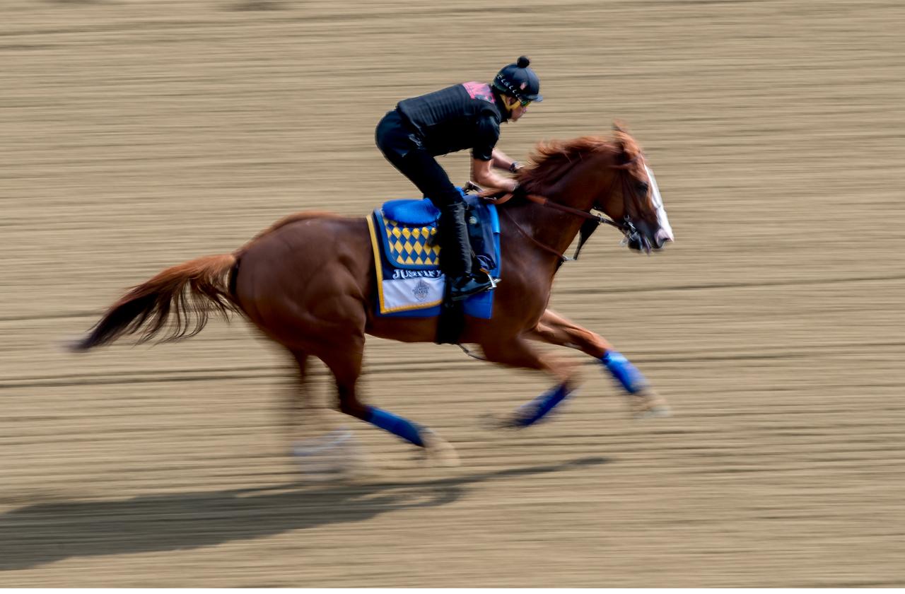 //justify attempts triple crown win at belmont stakes pp