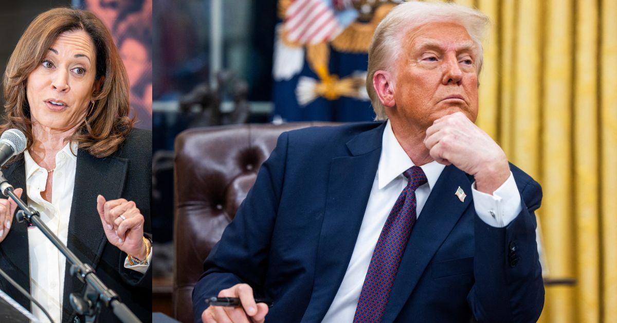 Donald Trump's 2024 landslide loss for Kamala Harris left Democratic donors deeply disillusioned.