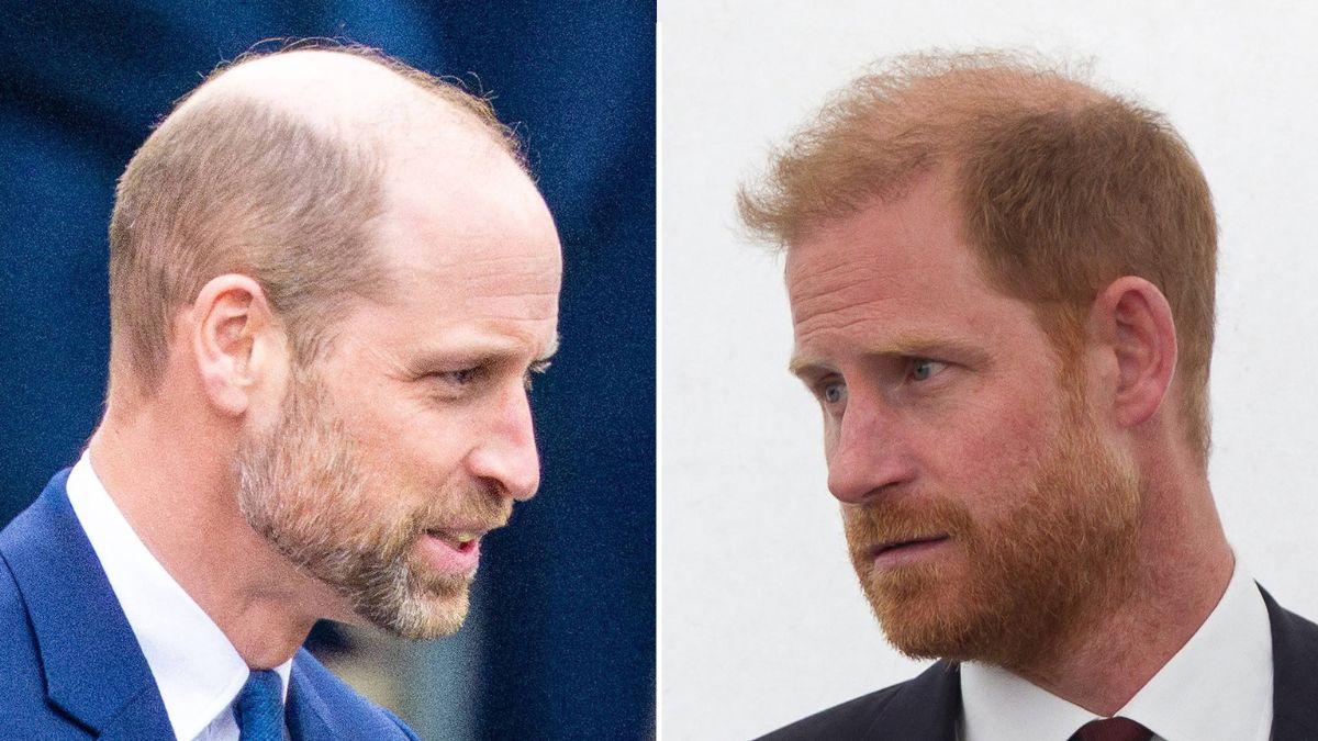 picture of Prince William and Prince Harry