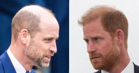 picture of Prince William and Prince Harry