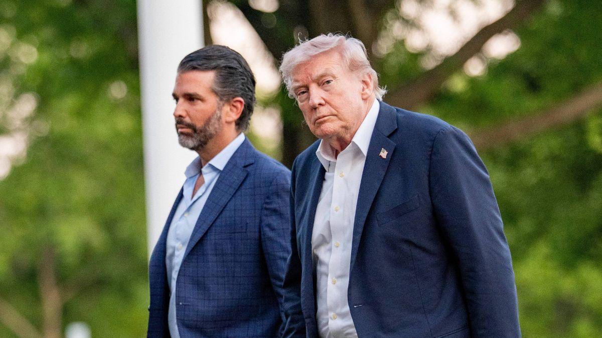 image of Donald Trump Jr and Donald Trump