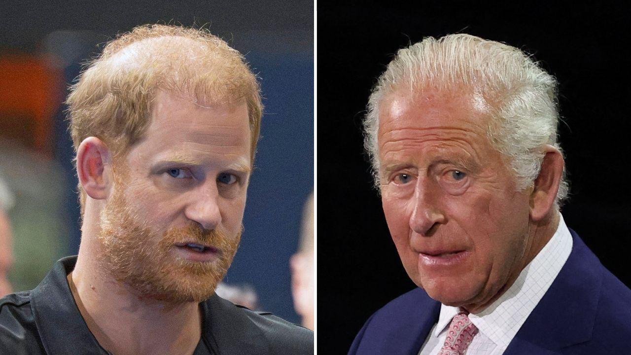 picture of prince harry and king charles