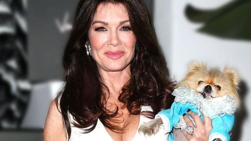 Lisa Vanderpump Secrets RHOBH