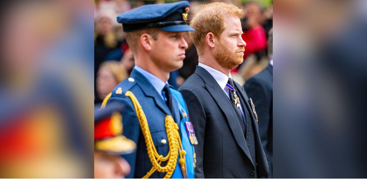 Photo of Prince William and Prince Harry