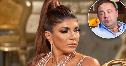 Teresa Giudice Begs Judge Not To Deport Husband Joe In Court Letter