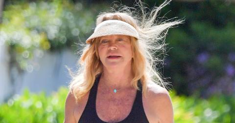 goldie hawn la is terrible victim multiple home break ins month span