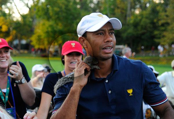 Tiger Woods Amanda Boyd Affair Photos