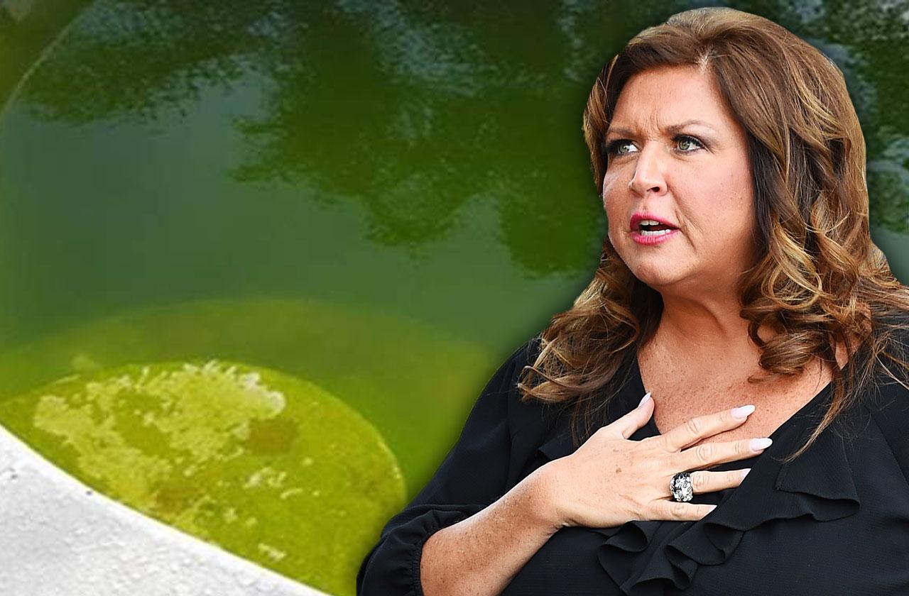 abby lee miller dirty pool mosquitoes rats photos dance moms