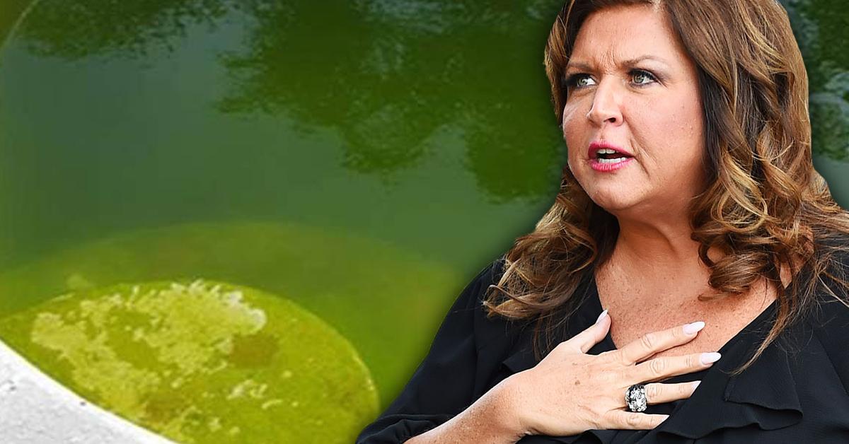 Abby Lee Miller Hit With Code Violation For Mosquito-Infested Pool