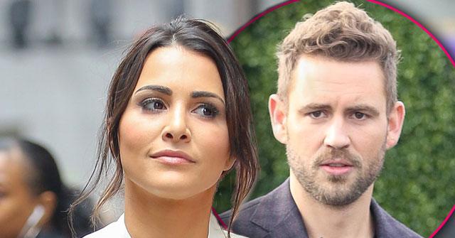 //andi dorfman tell all nick viall the bachelor pp