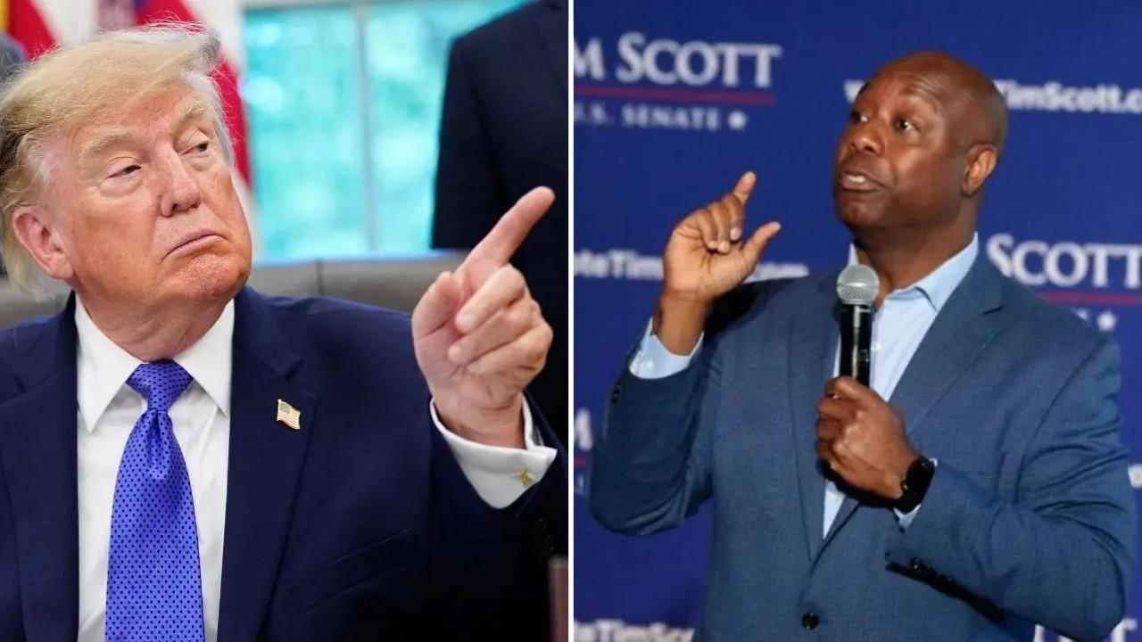 Photo of Donald Trump, Tim Scott