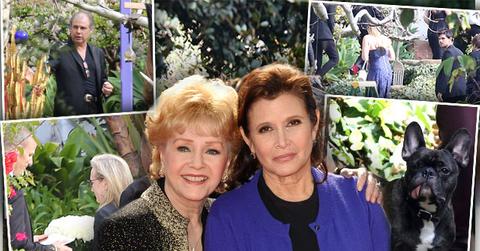 carrie fisher debbie reynolds funeral memorial celebrity arrivals