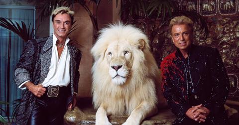 Siegfried Roy Horn Tiger Trainer Fault