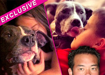 //jon gosselin kids pitbulls