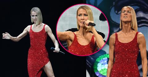 Skinny Celine Dion Talks Mother's Death At Concert