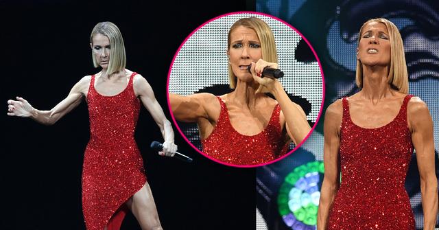 Skinny Celine Dion Talks Mother's Death At Concert