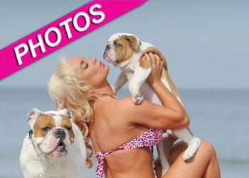 //coco bulldogs coleman rayner